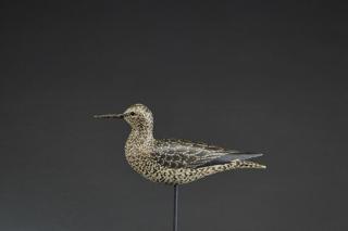 Appraisal: Rare Willet A Elmer Crowell Rare WilletA Elmer Crowell -