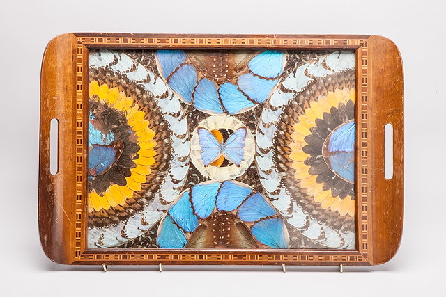 Appraisal: A BUTTERFLY WING TRAY with inlaid border cm x cm