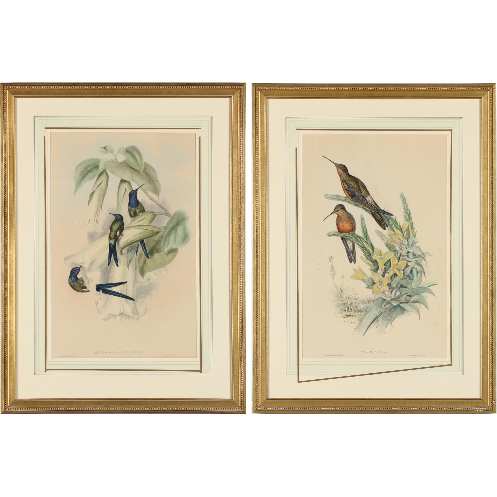 Appraisal: Two Gould and Richter Hummingbird Lithographs th century with hand-coloring