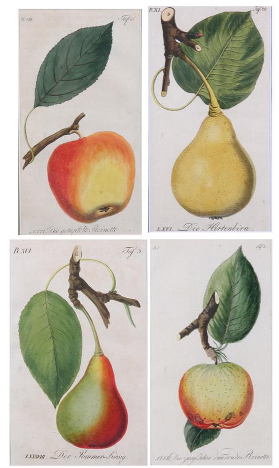 Appraisal: JOHANN VOLKMAR SICKLER German - Eight hand-colored copper engravings of