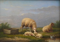 Appraisal: Franz van Severdonck Belgian - Three Sheep Ram and Duck