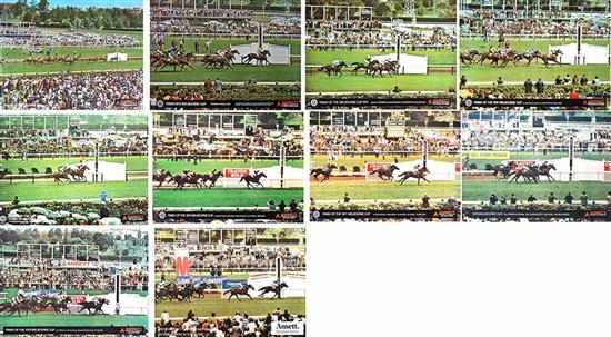 Appraisal: COLLECTION OF MELBOURNE CUP RACE FINISH POSTERS - full colour