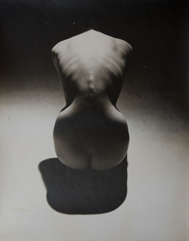 Appraisal: ERWIN BLUMENFELD - NUDE Gelatin silver print with the Estate