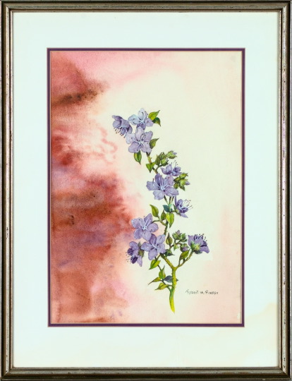 Appraisal: Robert M Rucker American Louisiana - Purple Blossoms watercolor on