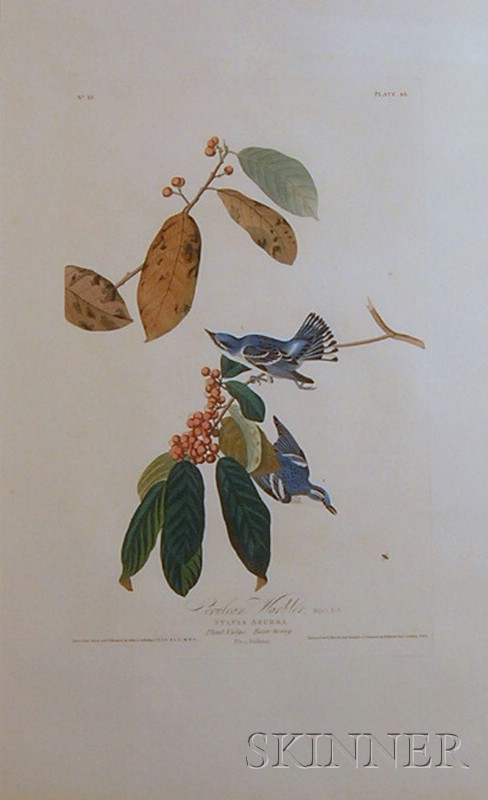 Appraisal: Audubon John James - Cerulean Warbler plate taken from Birds