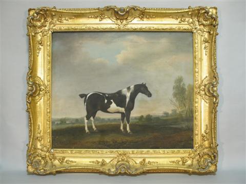 Appraisal: THOMAS WEAVER BRITISH - PIEBALD COB Oil on canvas x