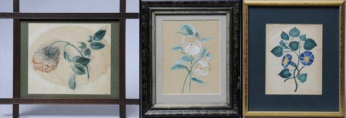 Appraisal: AMERICAN SCHOOL THEOREM Watercolor on paper depicting morning glories signed