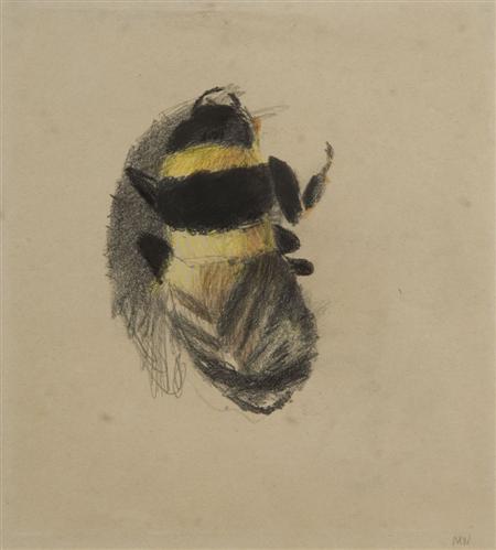 Appraisal: MARY NEWCOMB - STUDY OF A BEE Signed with initials