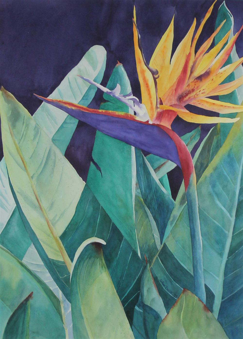 Appraisal: LEANN KALITA AMERICAN TH ST CENTURY BIRD OF PARADISE Watercolor