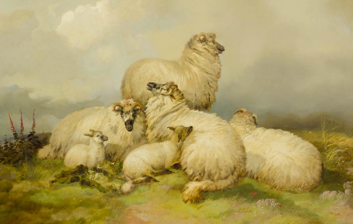 Appraisal: JAMES CHARLES MORRIS OIL ON CANVAS British active - Sheep