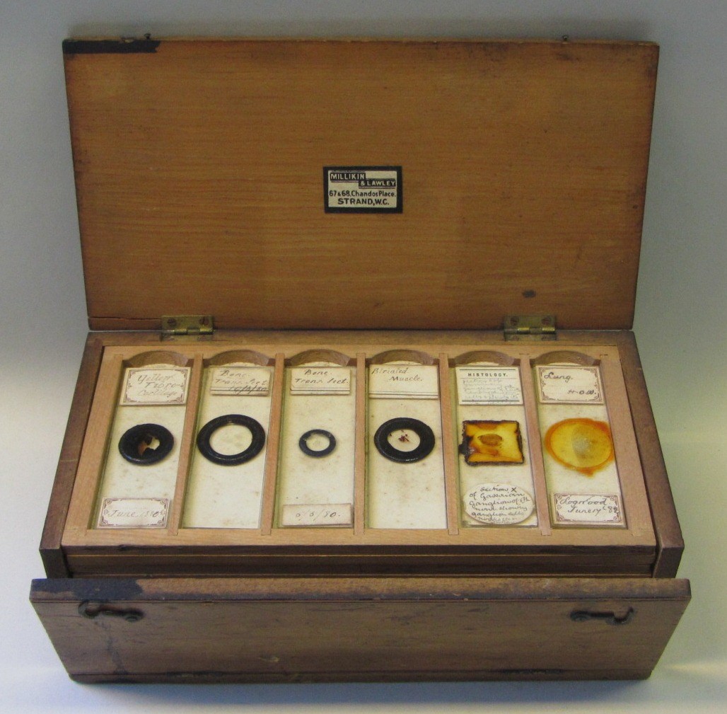 Appraisal: A cased set of entomological microscope slides circa the twelve