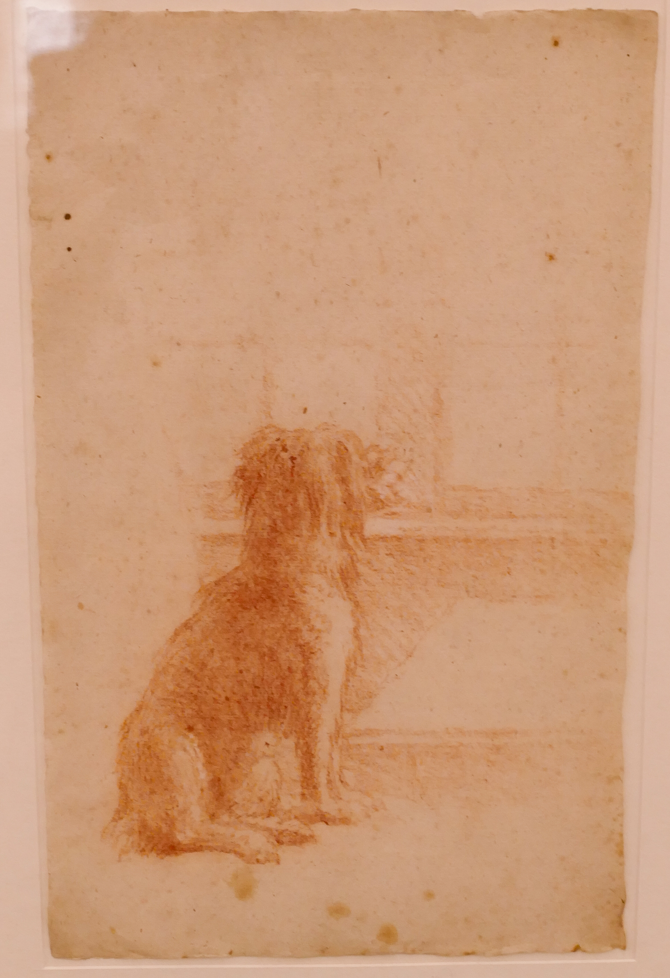 Appraisal: European th Century Dog Conte Crayon Drawing Framed- x ''