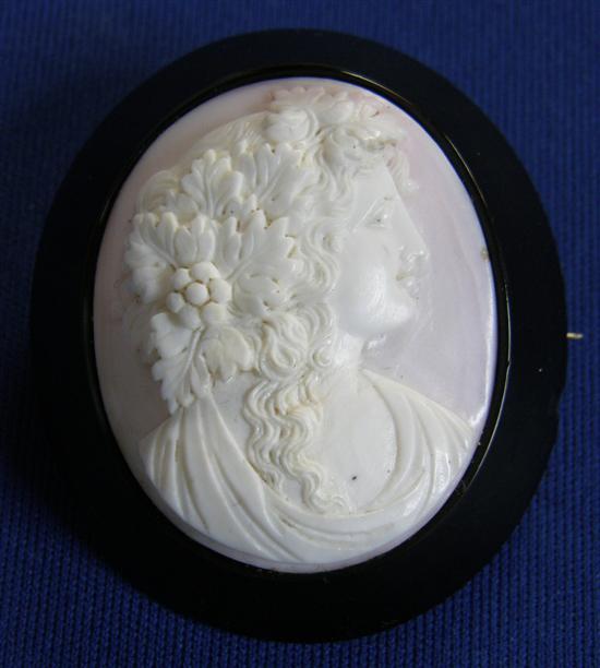 Appraisal: Jet and cameo brooch