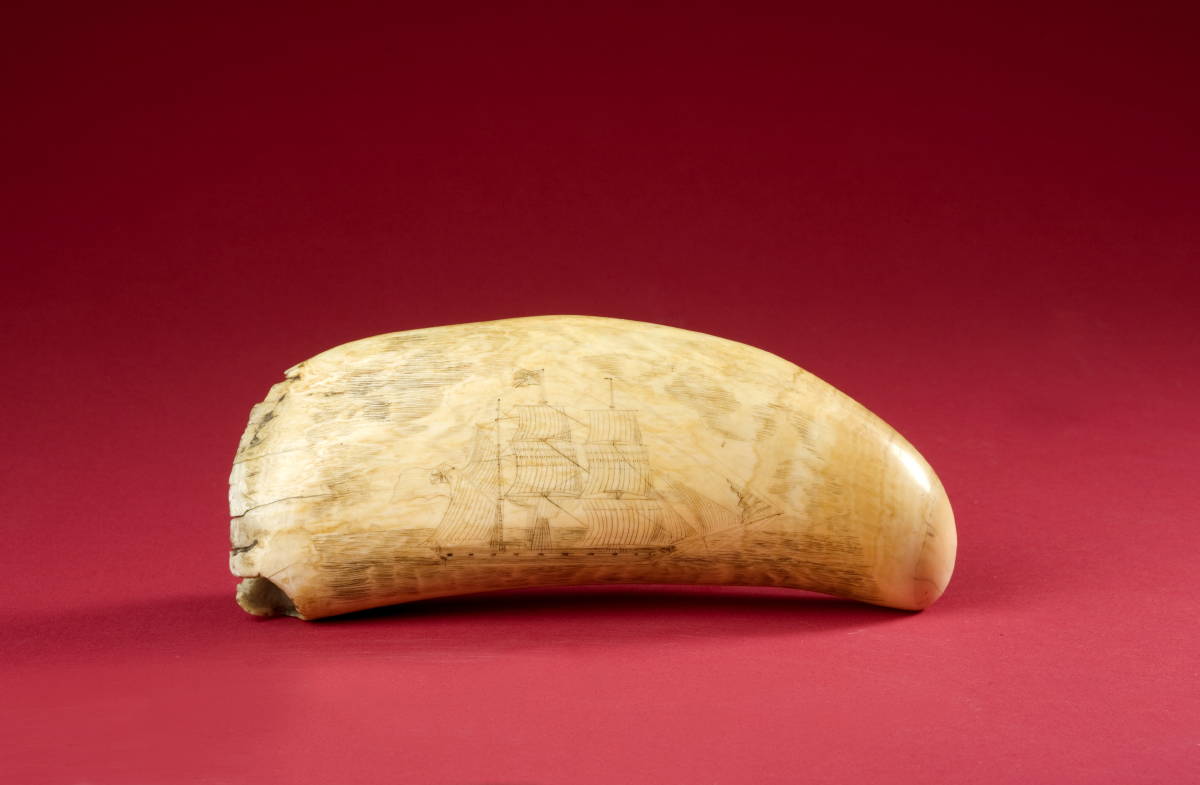 Appraisal: SCRIMSHAW WHALE'S TOOTH ENGRAVED WITH A BARK UNDER SAIL AND