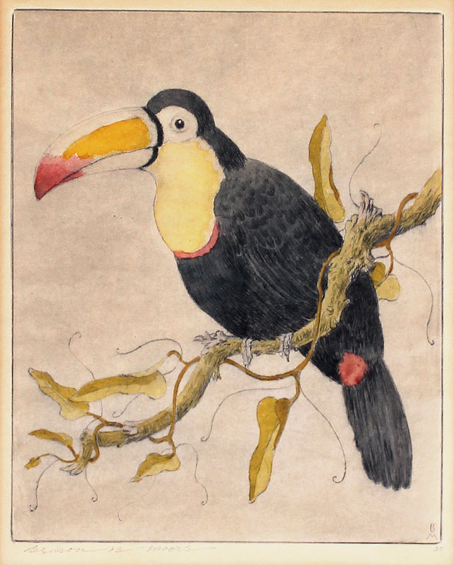 Appraisal: MOORE Benson American - Sulfur Breasted Toucan Color Etching sight