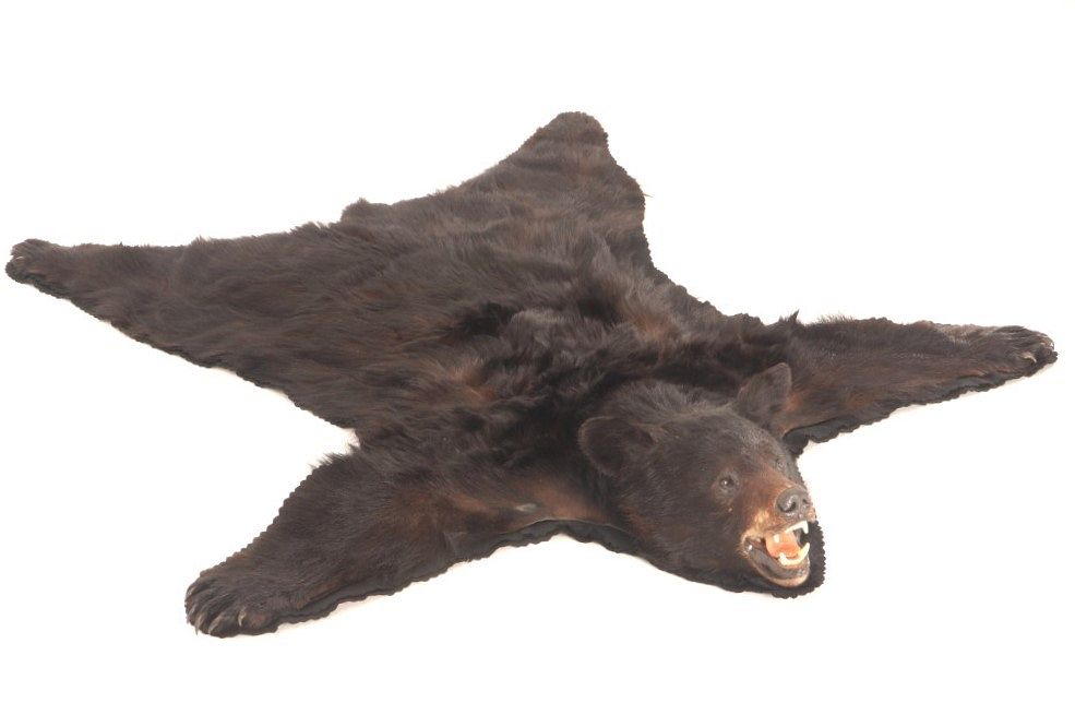 Appraisal: Montana Trophy Taxidermy Black Bear Hide Rug Featured in this