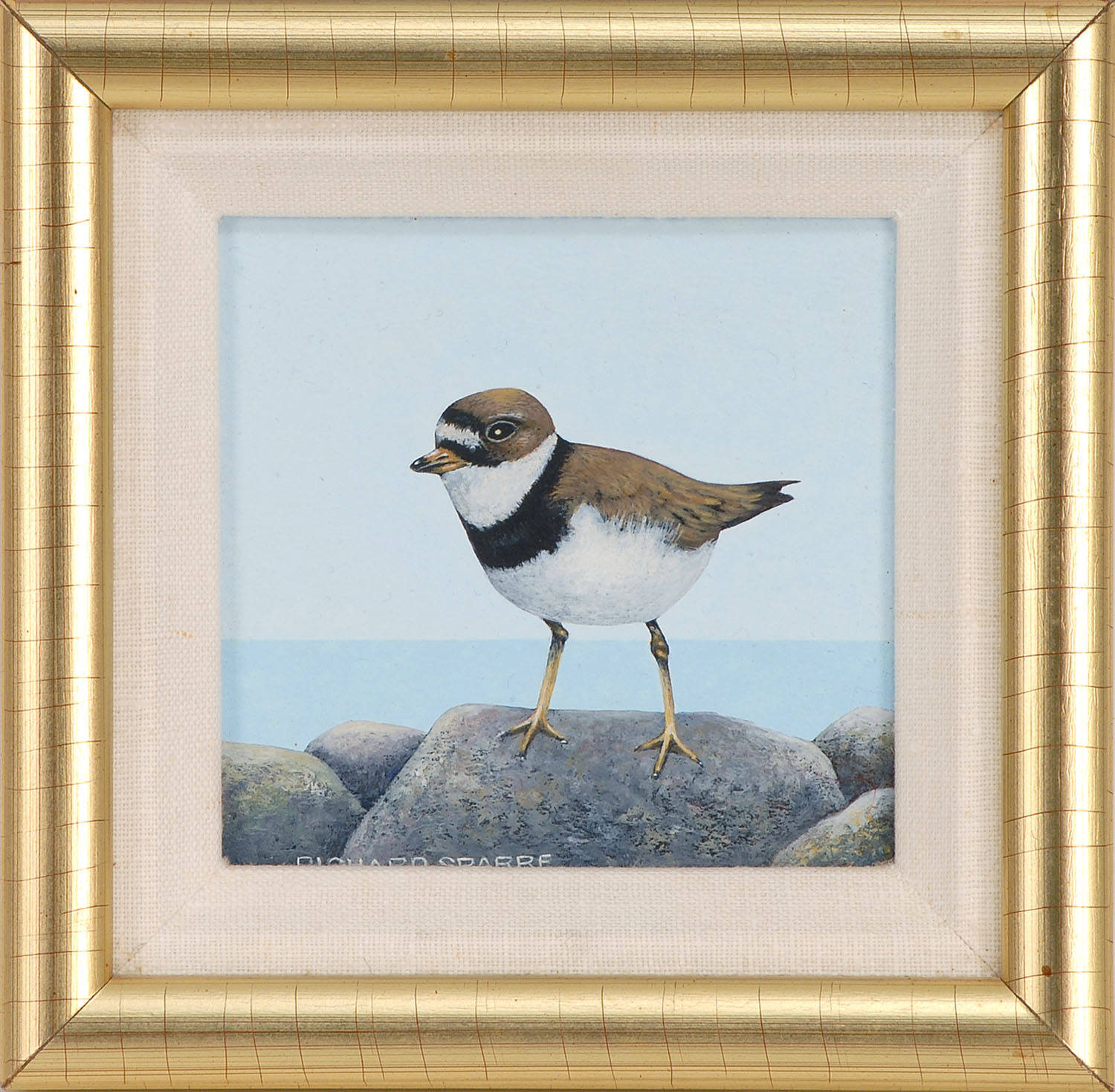 Appraisal: RICHARD SPARREContemporaryShorebird Signed lower left Richard Sparre Tempera x Linen