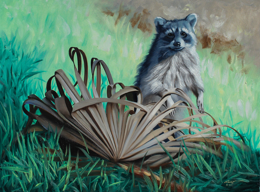 Appraisal: RUST Don American - Raccoon in Nature Oil Canvas ''