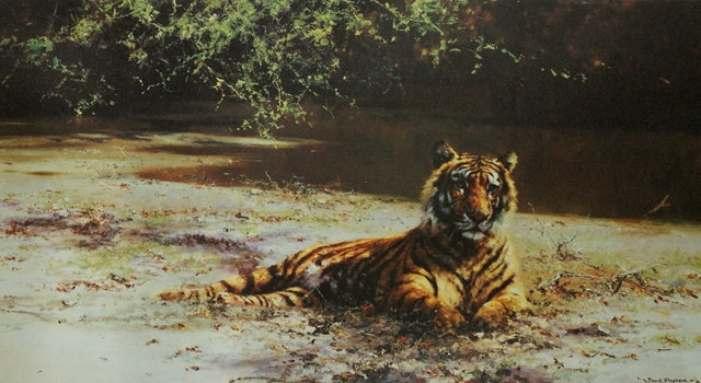 Appraisal: David Shepherd British b 'Indian Siesta' pencil signed colour print