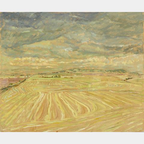 Appraisal: ROBERT FRANCIS MICHAEL MCINNIS YELLOW FIELDS oil on canvas signed