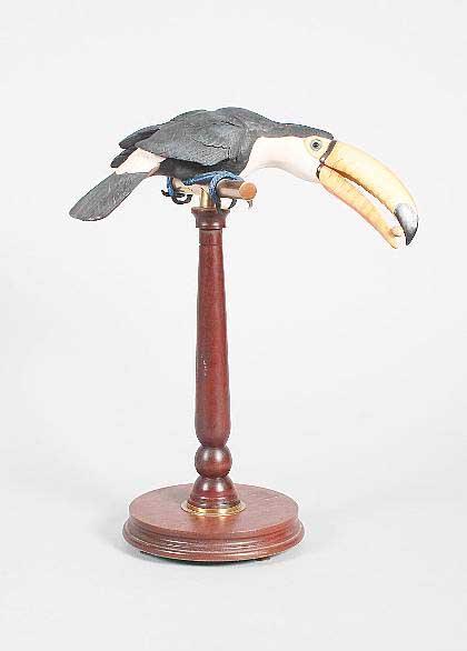 Appraisal: A Border Fine Arts model of a Toucan on a