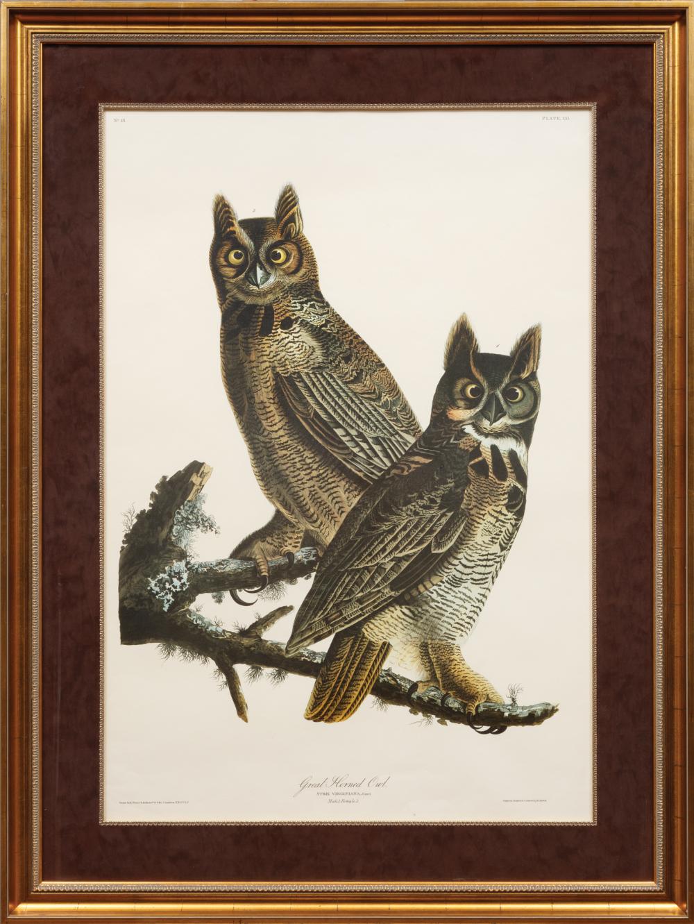 Appraisal: After John James Audubon American - Great Horned Owl Plate