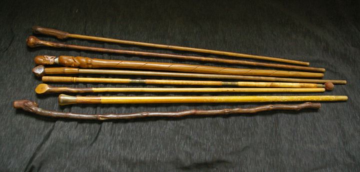 Appraisal: Group of Eight Folk Art Walking Sticks early th century