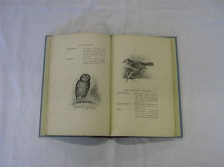 Appraisal: WILLIAM P TURNBULL THE BIRDS OF EAST LOTHIAN AND A