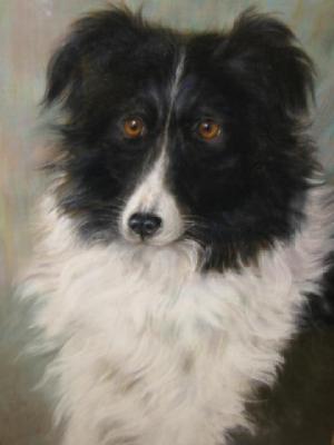 Appraisal: MAUD D HEAPS Portrait of a Collie pastel signed with