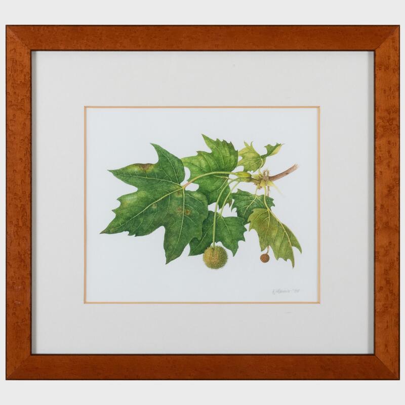 Appraisal: Katherine Manisco Plane Tree Leaves Watercolor on paper signed 'K