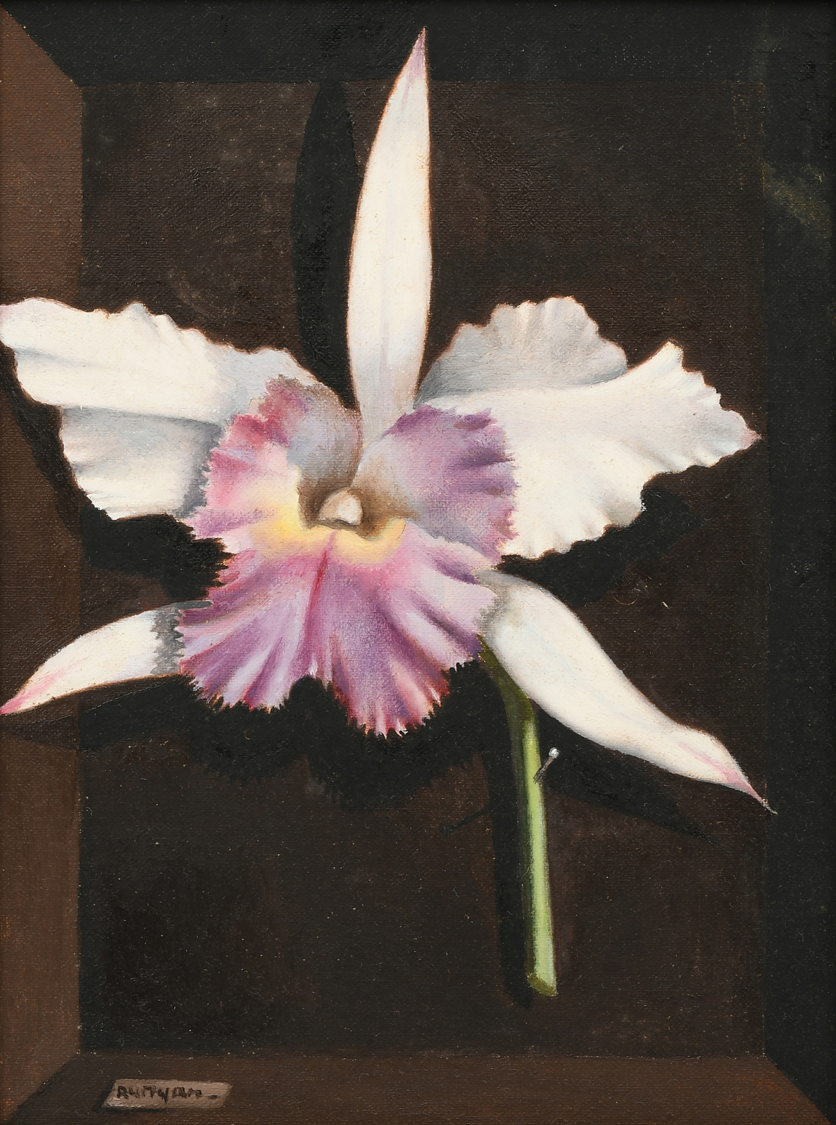 Appraisal: RUNYAN Pablo Panamanian - Still Life of an Orchid Oil