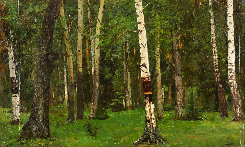 Appraisal: NIKOLAY SERGEEV RUSSIAN - NIKOLAY SERGEEV RUSSIAN - Birch Trees