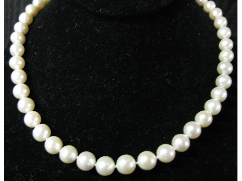 Appraisal: FRESHWATER PEARLS Cultured pearl necklace with yellow gold clasp Length