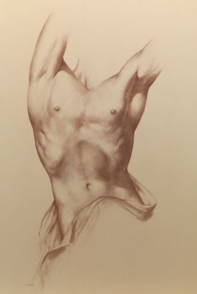 Appraisal: ALEXANDER CANEDO MEXICAN AMERICAN - x Nude Torso of a