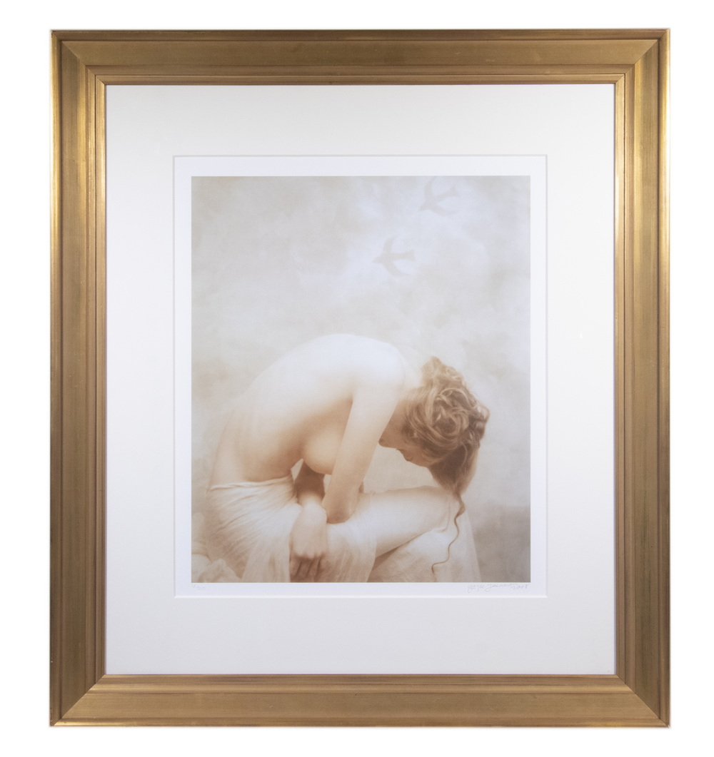 Appraisal: JOYCE TENNESON MA ME - Bird Woman polaroid photograph pencil