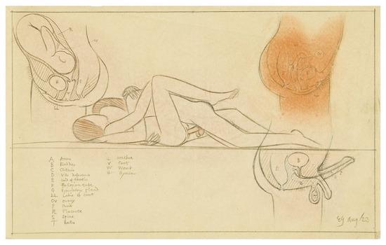 Appraisal: EROTICA -- GILL Arthur Eric Rowton Eroto-Anatomical Drawing Original pencil