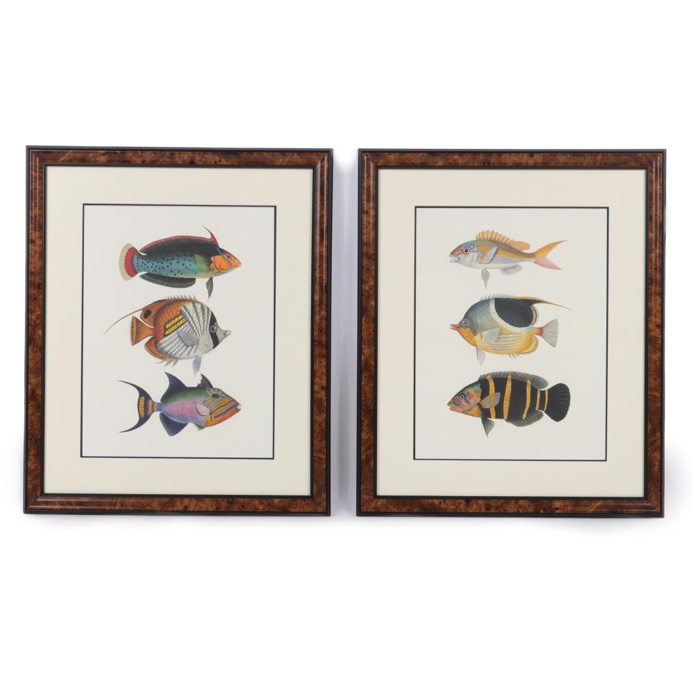 Appraisal: TWO FRAMED CHROMOLITHOGRAPH PLATES OF EXOTIC FISH H X W