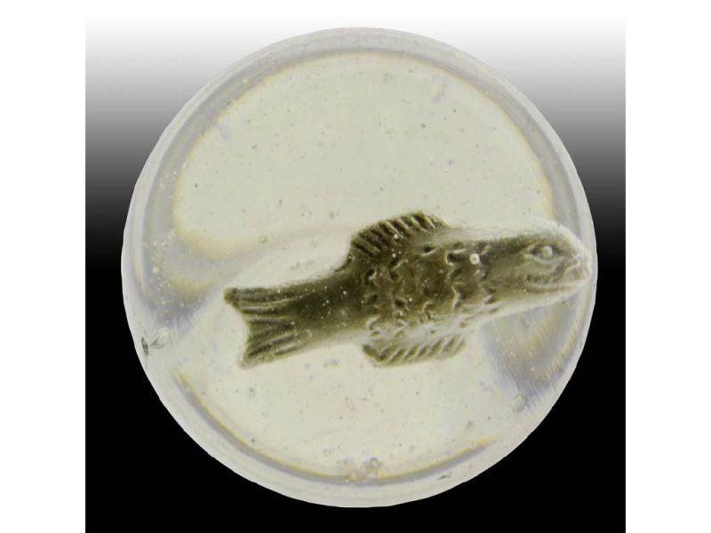 Appraisal: Fish Sulfide Marble Description - '' Fantastic detail Condition