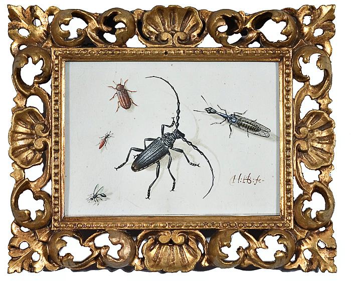 Appraisal: INSECT STUDY ATTRIBUTED TO HERMAN HENSTENBURGH DUTCH - watercolor and