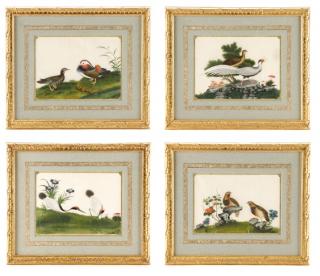 Appraisal: Collection of Gouache Paintings After Tingqua After Tingqua Chinese active