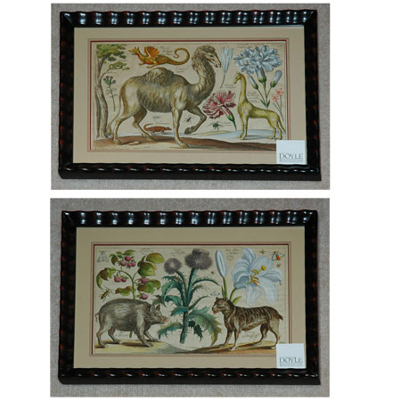 Appraisal: Wenzel Hollar ANIMAL AND FLOWER STUDIES Six hand-colored prints from