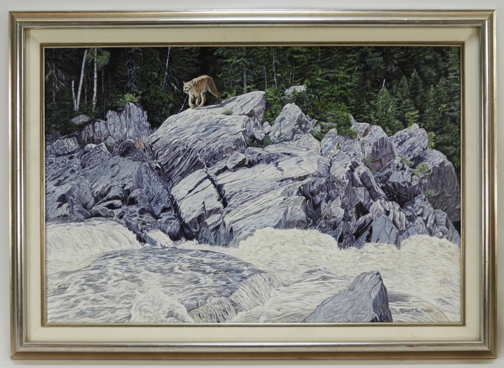 Appraisal: ROBERT E PEASE NATURALIST MOUNTAIN LION PAINTING United States -