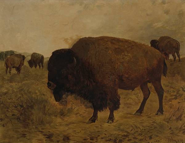 Appraisal: John Dare Howland American - Grazing Bison signed 'JD Howland'