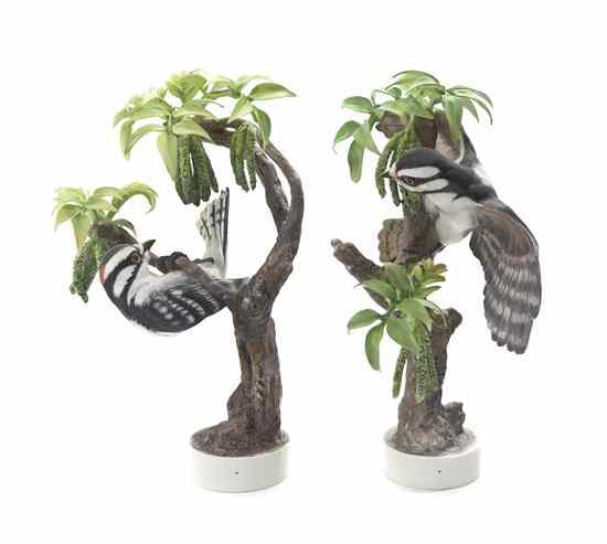 Appraisal: A Pair of Royal Worcester Dorothy Doughty Birds Downy Woodpeckers