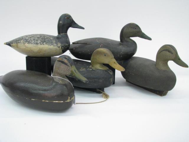 Appraisal: Group of five vintage duck decoys three hollow body four