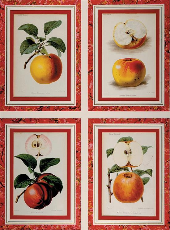 Appraisal: Collection of prints FOUR PRINTS POMME ROUENNAISE NATIVE POMME ROI