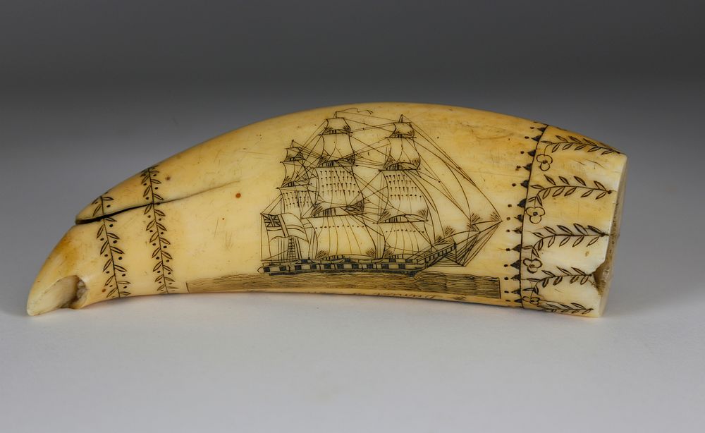 Appraisal: Scrimshaw Whale Tooth Daniel of London by the Britannia Engraver