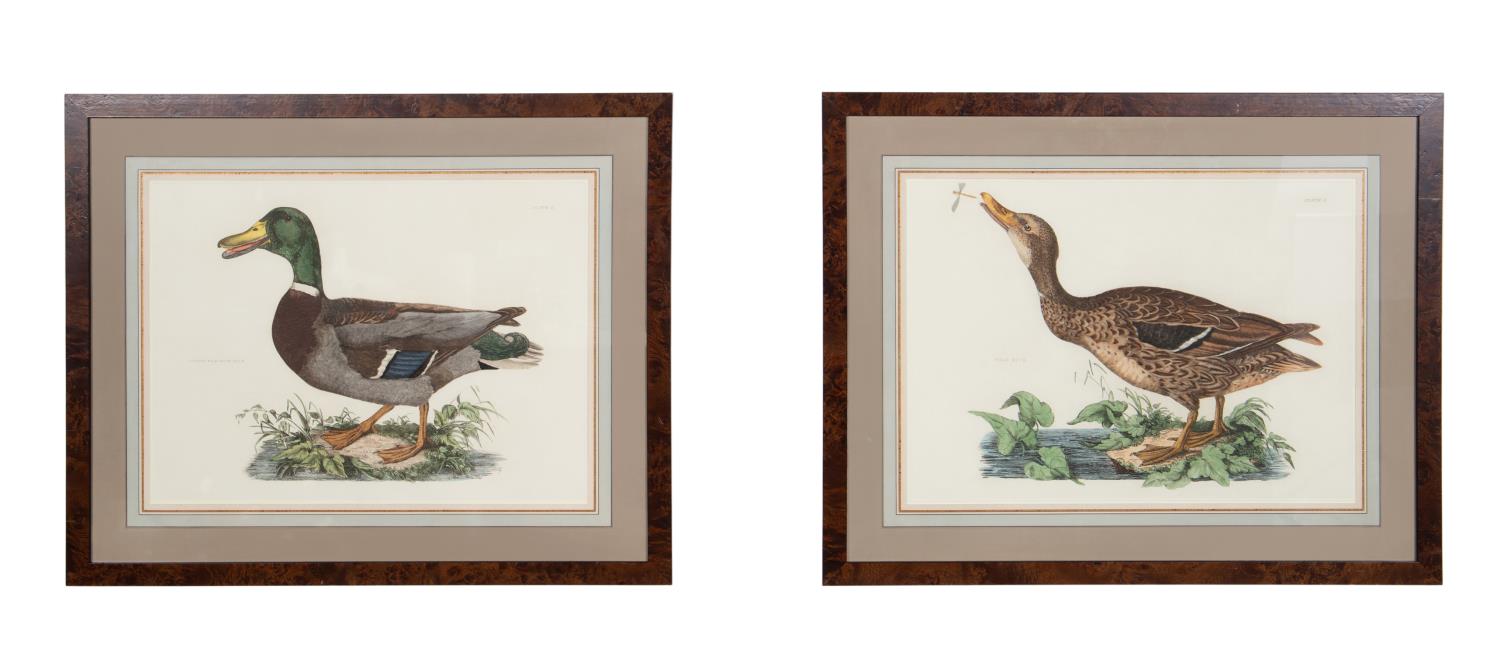 Appraisal: PAIR TH C DUCK ENGRAVINGS AFTER P J SELBY After