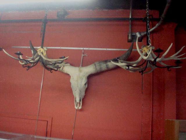 Appraisal: Adirondack Lot horn chandeliers and a cow head with horns