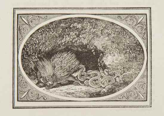 Appraisal: Bewick Thomas - Aesop and others The Fables with Bewick's